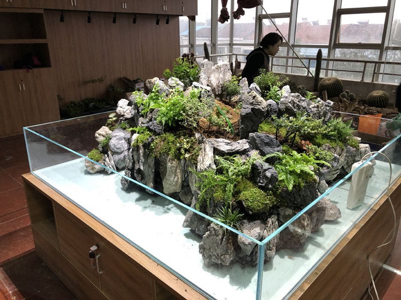 室內(nèi)造景_副本.jpg