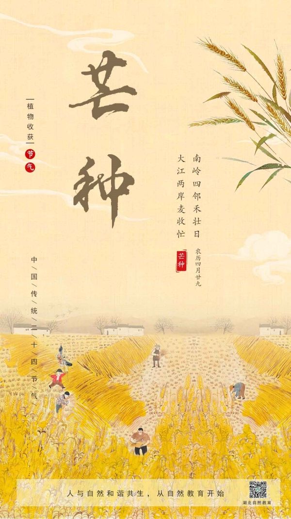 9-芒種_副本.jpg