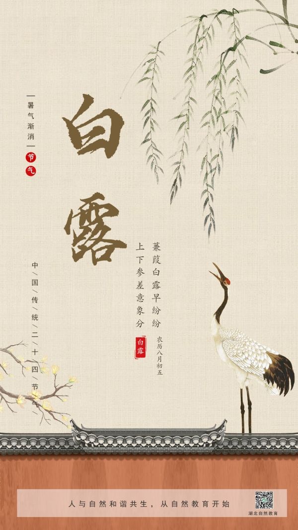 15-白露_副本.jpg