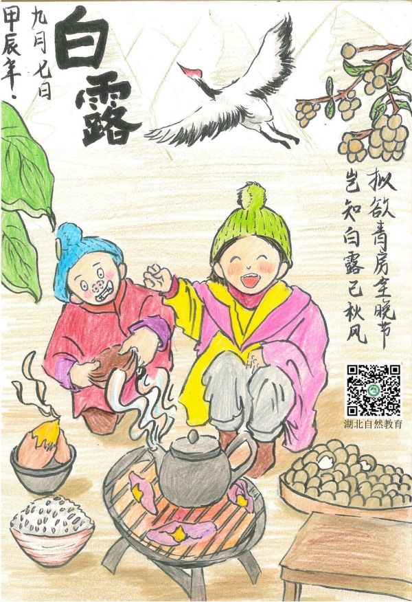 白露_副本.jpg