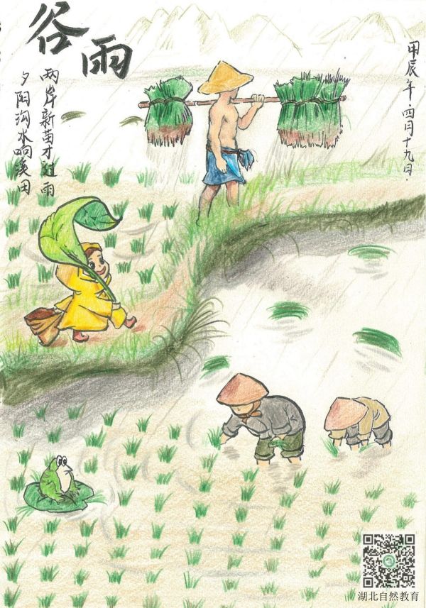 谷雨_副本.jpg