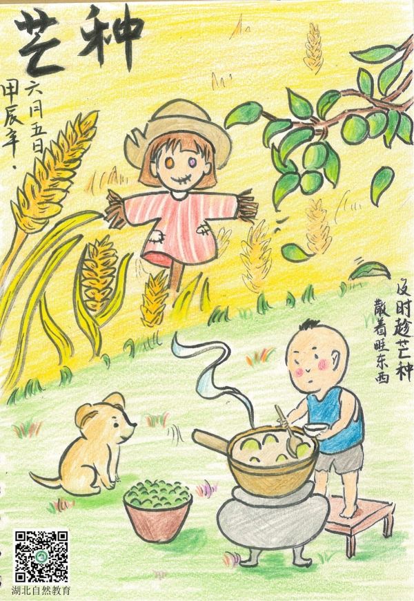 芒種_副本.jpg