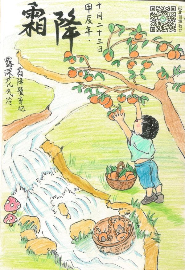 霜降_副本.jpg