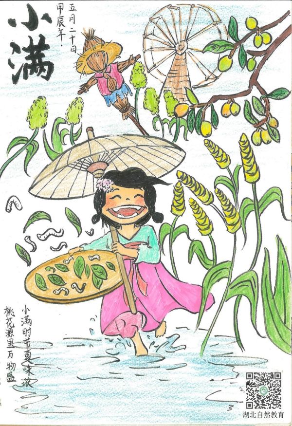 小滿_副本.jpg