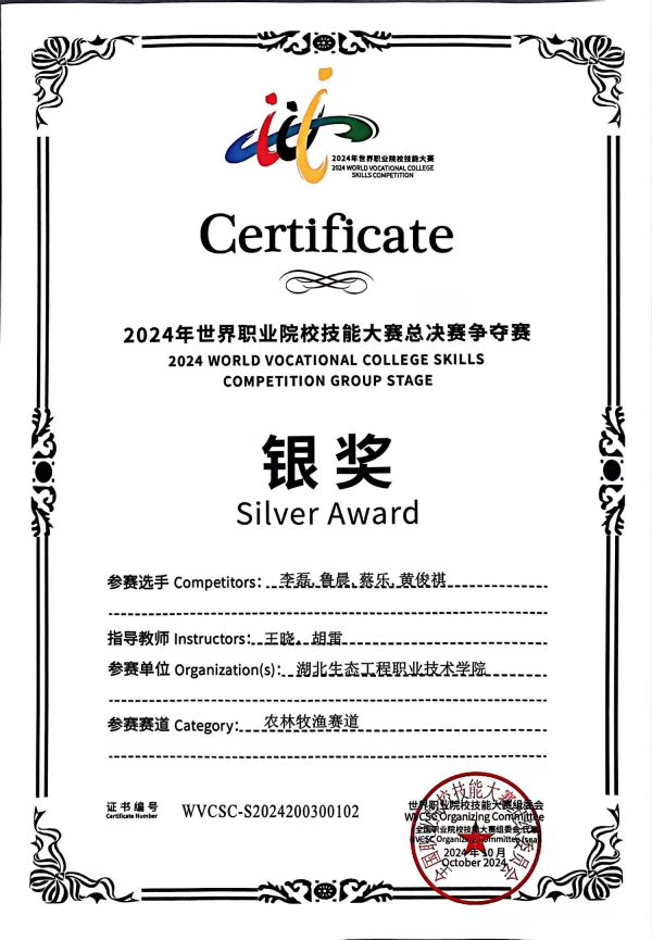 2024世界職業(yè)院校技能大賽總決賽銀獎_副本.png